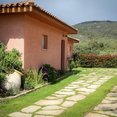 Valinco Locations Olmeto Plage Exterior foto